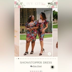 Ivy City Co NWT size 2x Showstopper Dress